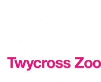 Logo for Twycross Zoo