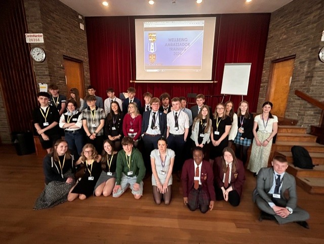 Wellbeing Training Day 2024