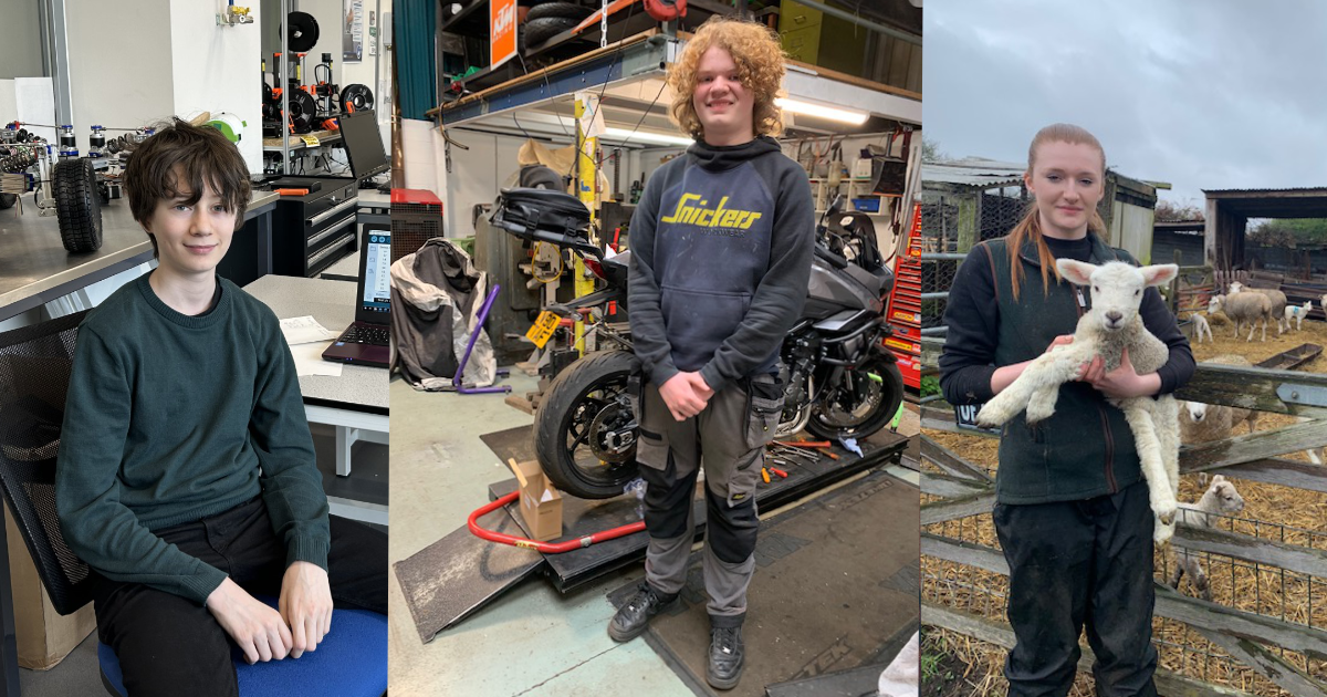 Work Experience 2024