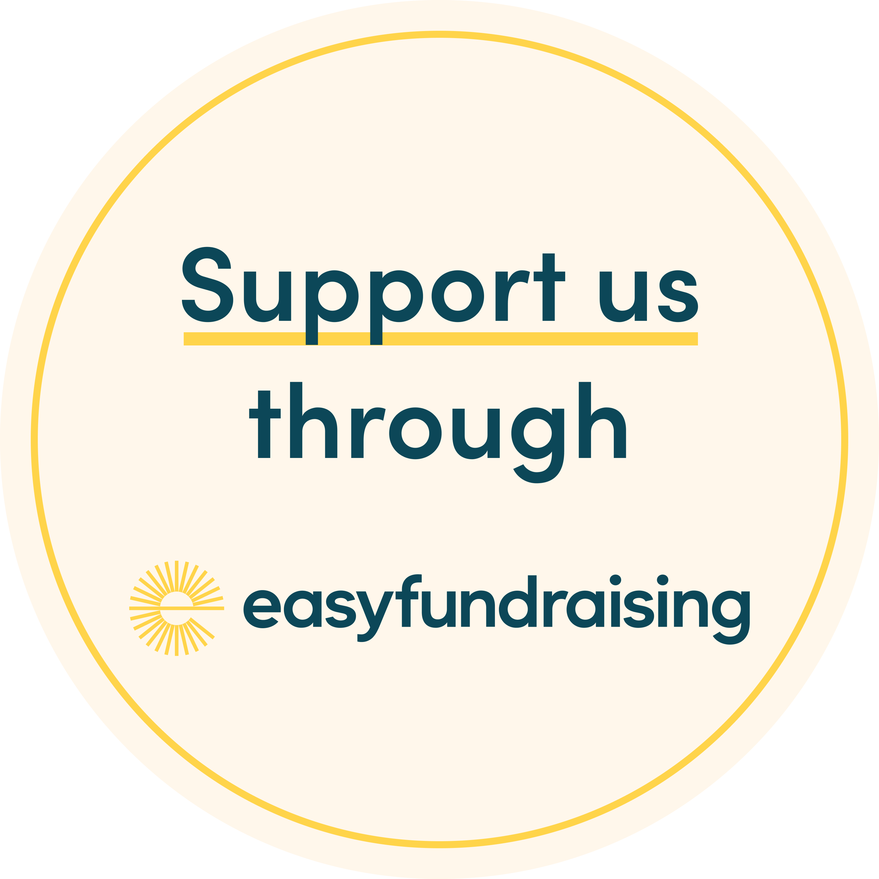 Website Update – easyfundraising