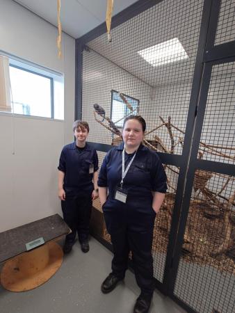 WorkExperience2024-01