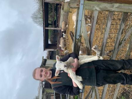 WorkExperience2024-06