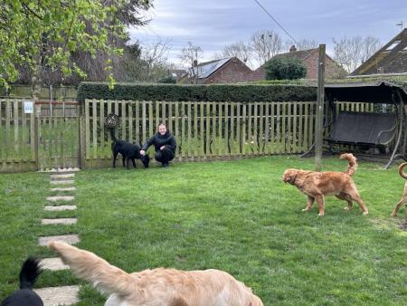 WorkExperience2024-31