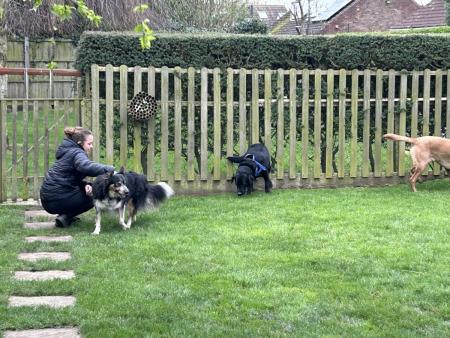 WorkExperience2024-32