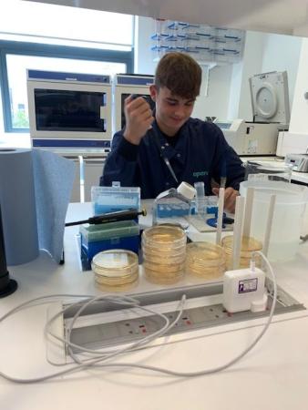 Y12WorkExperience24-12